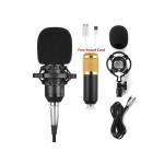 Professional Condenser Studio Microphone for Audio Recording - Gold