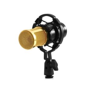 Professional Condenser Studio Microphone for Audio Recording - Gold
