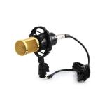 Professional Condenser Studio Microphone for Audio Recording - Gold